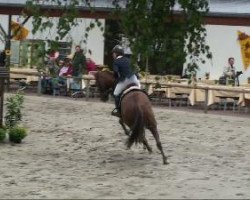 jumper Benerife Ryal K. (KWPN (Royal Dutch Sporthorse), 2006, from Tenerife)