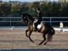 dressage horse Drew Doughty (Hanoverian, 2011, from Desperados FRH)