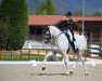 dressage horse Linkedin (Hanoverian, 2011, from Levisonn 208 FIN)