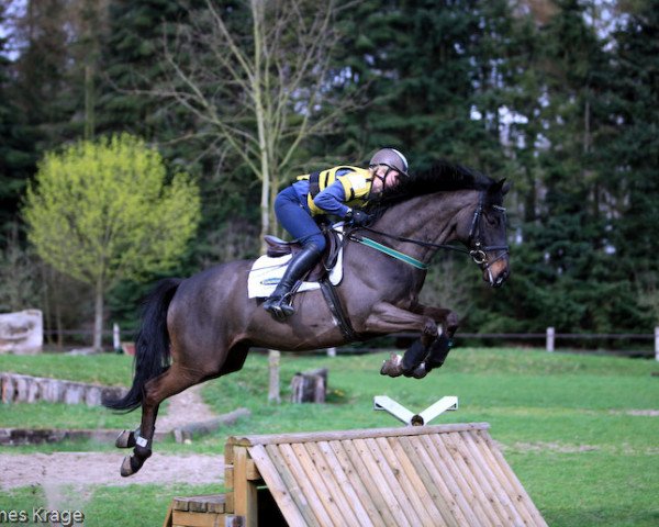 jumper Heffalump (Oldenburg, 2006, from Heops)