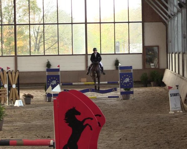 Reitturnier Langenfeld - Gut Langfort 2022