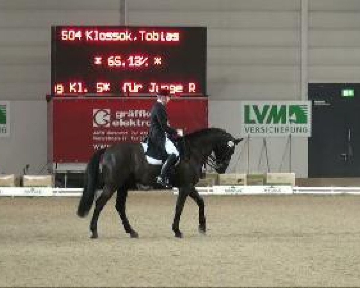 dressage horse Don Elesgo (Oldenburg, 2001, from De Niro)