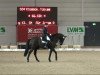 dressage horse Don Elesgo (Oldenburg, 2001, from De Niro)