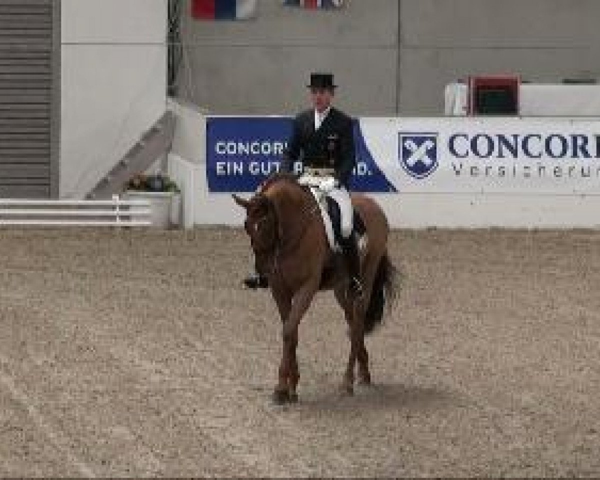 horse Trouble Maker M (KWPN (Royal Dutch Sporthorse), 2000, from Jazz)