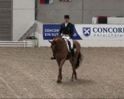 horse Trouble Maker (KWPN (Royal Dutch Sporthorse), 2000, from Jazz)