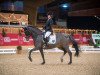 dressage horse Durano 11 (German Riding Pony, 2006, from Diamond)