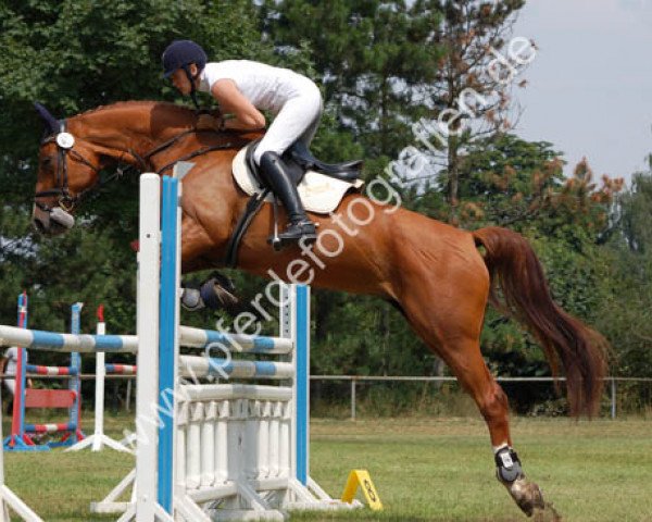 dressage horse Fantasy III (Trakehner, 2000, from Tolstoi)