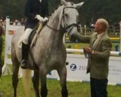 dressage horse Carlos 353 (Holsteiner, 1999, from Calvados 2)