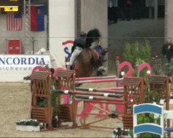 jumper Leon 507 (Hanoverian, 2003, from Lafontaine)