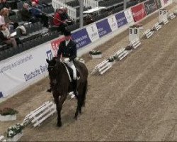 dressage horse Werena (Oldenburg, 2001, from Relevant)