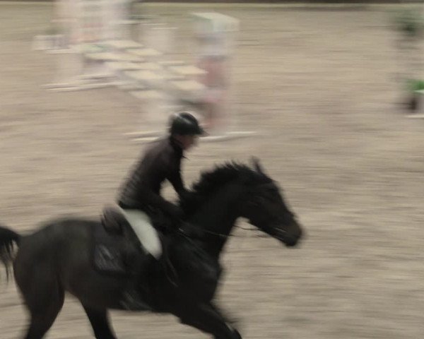 Reitturnier Prussendorf 2022