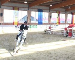 jumper Crazy Hour (Hanoverian, 2004, from Crazy Classic)