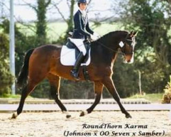 Dressurpferd Karma Roundthorn (KWPN (Niederländisches Warmblut), 2015, von Glock's Johnson Tn)