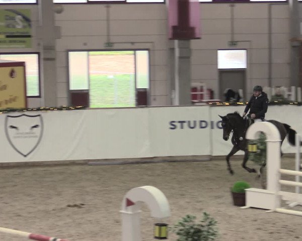 Reitturnier Prussendorf 2022