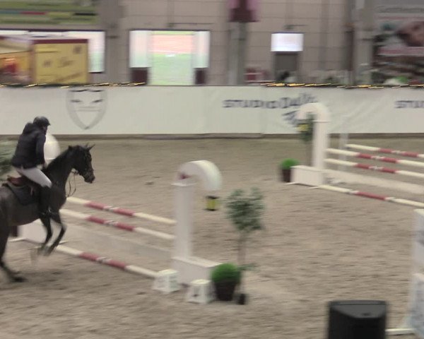 Reitturnier Prussendorf 2022