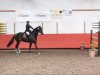 dressage horse Eros (Westphalian, 1996, from Ehrentanz I)