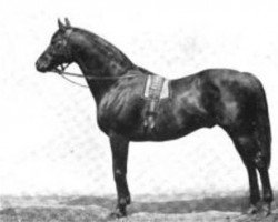 stallion Friar's Balsam xx (Thoroughbred, 1885, from Hermit xx)