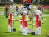 jumper Kay Lee van den Meulenberg (Belgian Warmblood, 2010, from Cicero Z van Paemel)