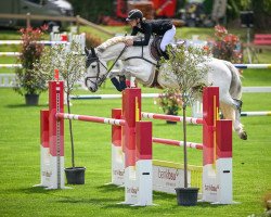 jumper Kay Lee van den Meulenberg (Belgian Warmblood, 2010, from Cicero Z van Paemel)