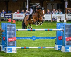 jumper Hyan Toltien F (KWPN (Royal Dutch Sporthorse), 2012, from Baltic VDL)