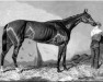 broodmare Mincemeat xx (Thoroughbred, 1851, from Sweetmeat xx)