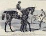stallion The Promised Land xx (Thoroughbred, 1856, from Jericho xx)
