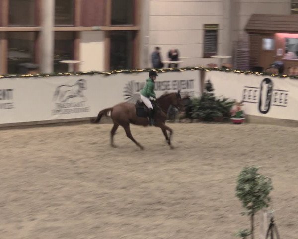 Reitturnier Prussendorf 2022