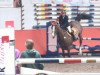 jumper Lucille 52 (Hanoverian, 1999, from Lastro)