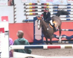 jumper Lucille 52 (Hanoverian, 1999, from Lastro)