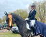 dressage horse Don Edward 2 (Hanoverian, 2018, from Don Martillo)