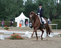 dressage horse Redford 34 (Oldenburg, 1997, from Rohdiamant)