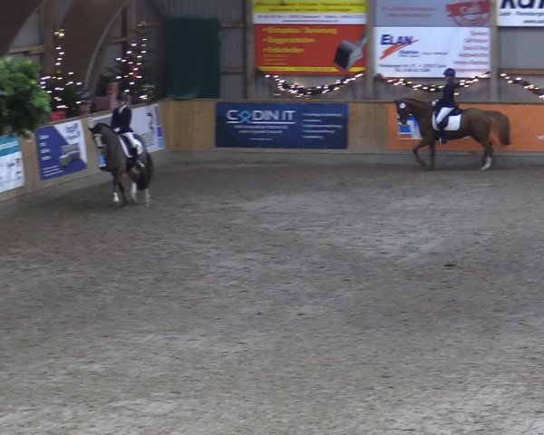 Reitturnier Leck 2022