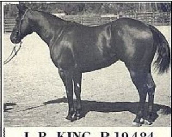 Pferd JB King (Quarter Horse, 1948, von Harmon Baker's Star)