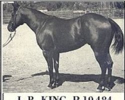 horse JB King (Quarter Horse, 1948, from Harmon Baker's Star)