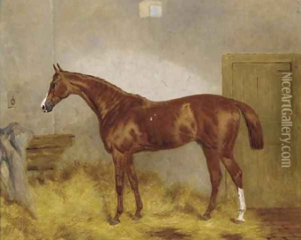 stallion Cymbal xx (Thoroughbred, 1867, from Kettledrum xx)