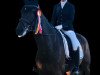 dressage horse Freudenfranz (Westphalian, 2014, from Franziskus FRH)