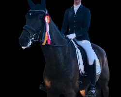 dressage horse Freudenfranz (Westphalian, 2014, from Franziskus FRH)