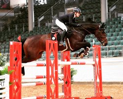 jumper Cornet's Chadette (Hanoverian, 2014, from Cornet’s Balou)