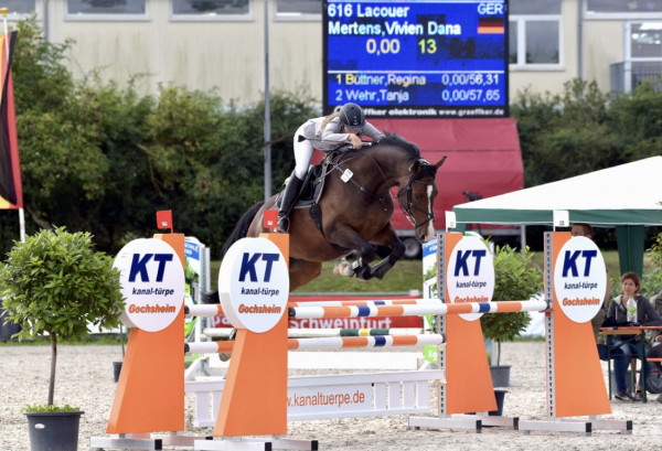 jumper Lacouer (Hanoverian, 2008, from Linton)