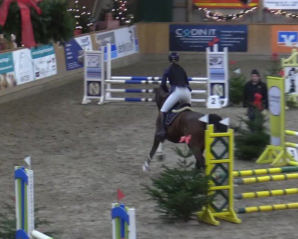 Reitturnier Leck 2022