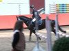 dressage horse Aurelio S (Bavarian, 2005, from Acasino B)