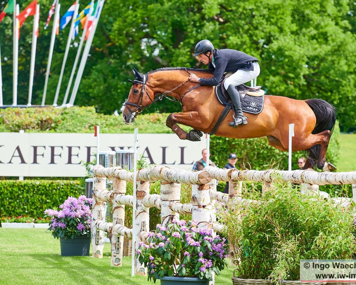 jumper Cross Keys (Holsteiner, 2005, from Casall Ask)