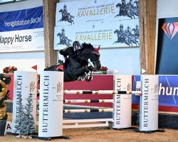 broodmare Conchita 126 (Oldenburg show jumper, 2010, from Cantoblanco)