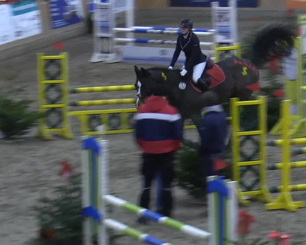 Reitturnier Leck 2022
