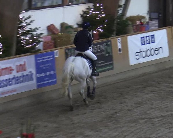 Reitturnier Leck 2022
