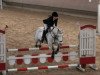 jumper Antonella D (German Riding Pony, 2003, from Amarillys Sensation D)