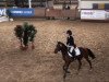 jumper Me Lady 4 (German Riding Pony, 2002, from Mentos)