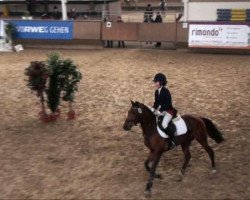 jumper Me Lady 4 (German Riding Pony, 2002, from Mentos)