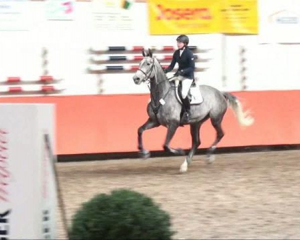 jumper Santus de Luxe (Hungarian Warmblood, 2004, from Carrado)