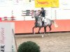 jumper Santus de Luxe (Hungarian Warmblood, 2004, from Carrado)